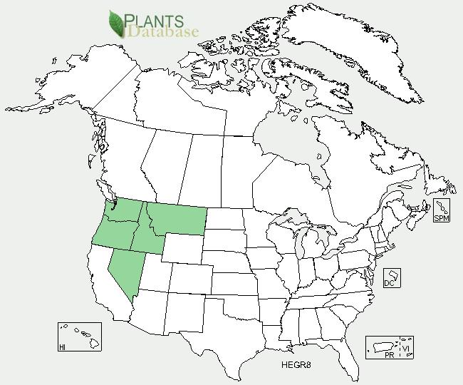 Geographical range (distribution maps for North America and Washington state) GENERAL INFORMATION Ecological distribution (ecosystems it occurs in, etc): -may
