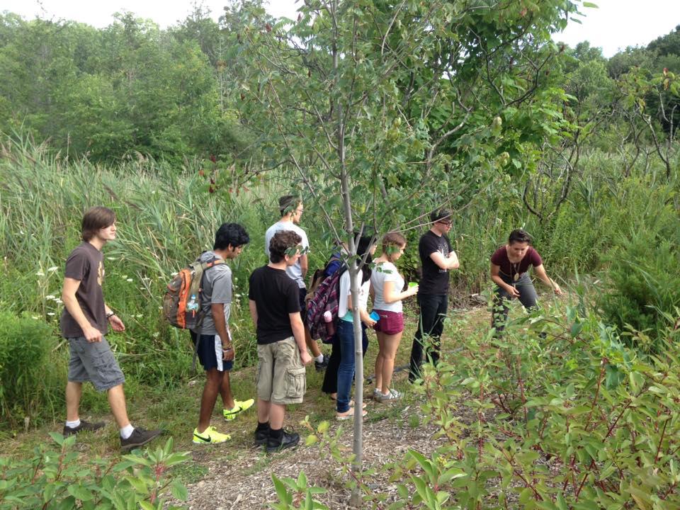 BIOLOGY CLASS AT BARD COLLEGE USING THE STORMWATER PROJECT AS AN