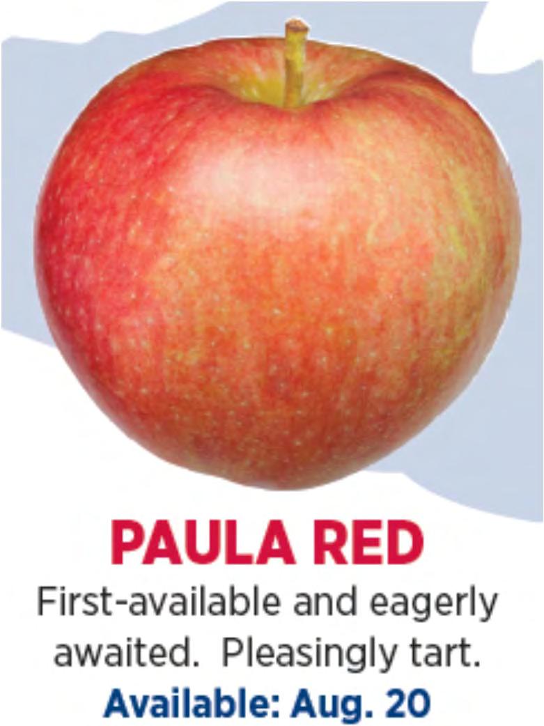 Paula Red One of the earliest to ripen. Available only into October.