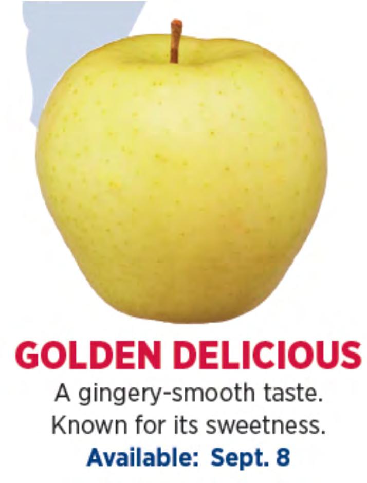 Golden Delicious A gingery smooth, sweet taste treat lies under a thin skin.