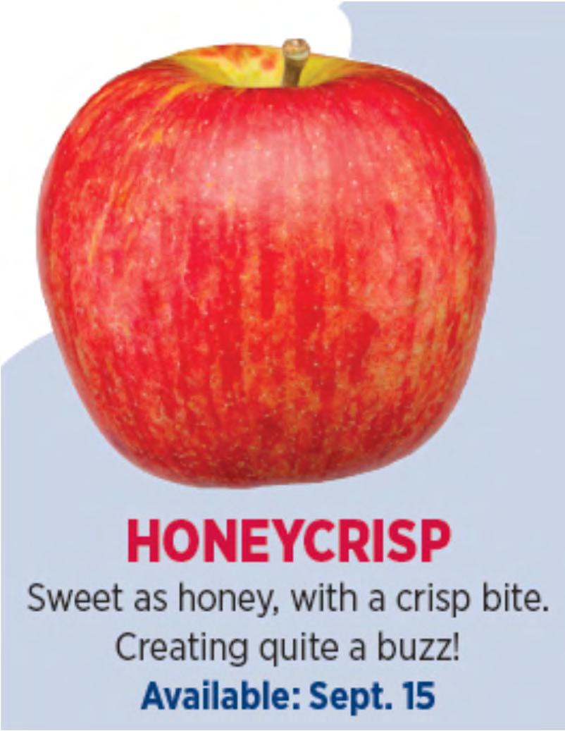 Honeycrisp The apple industry darling right now. Sweet and crisp like none other.