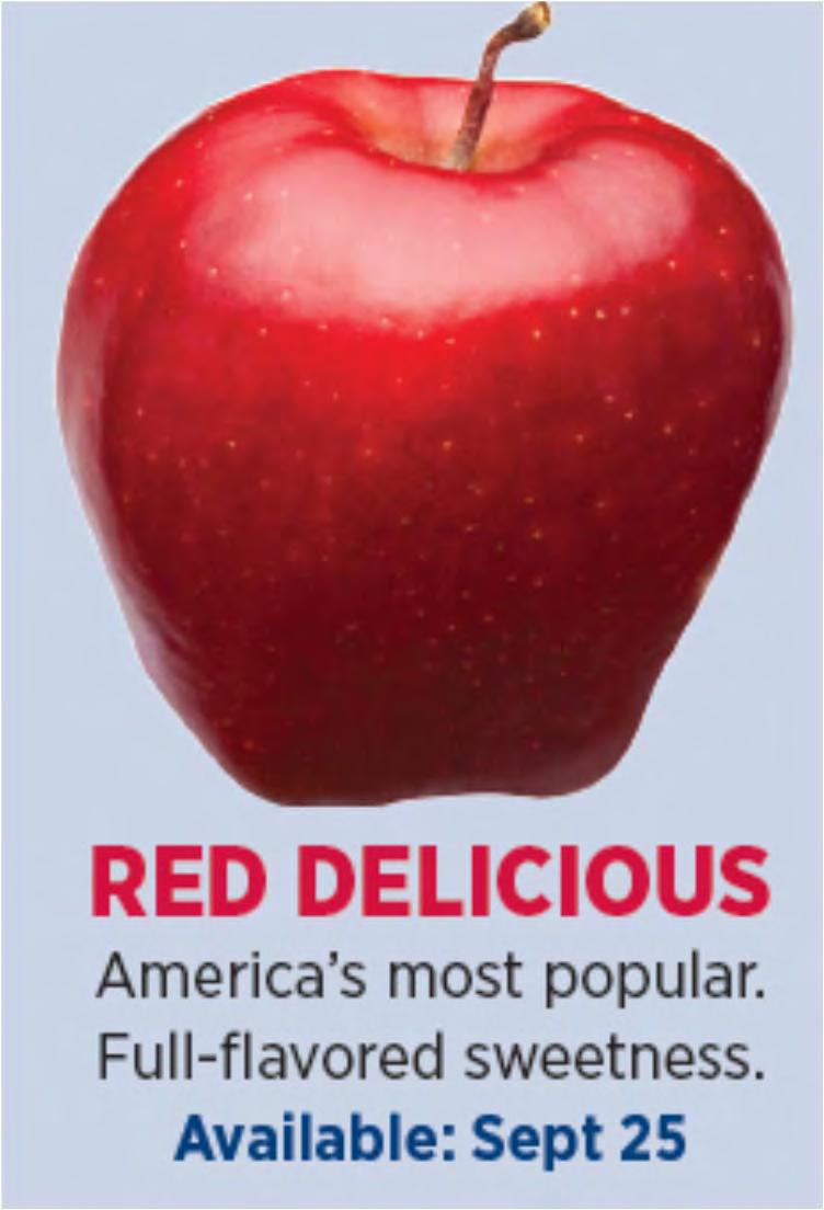 Red Delicious America s most popular apple, known for the "five little bumps" on the bottom. Best for fresh eating and snacks.