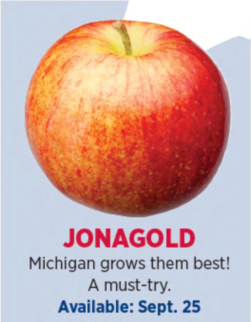 Jonagold Large fruited, dual purpose eating and cooking, sweet, juicy, somewhat tart, medium shelf life, medium fire blight susceptibility.