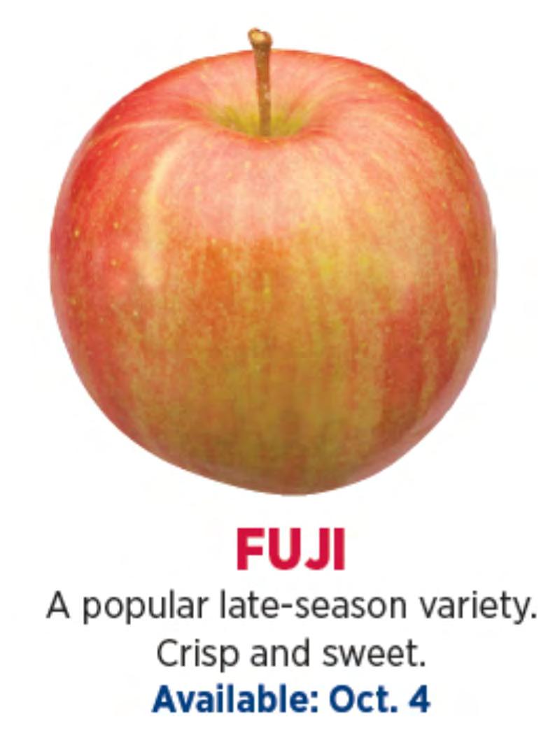 Fuji New to Michigan s apple line up, Fuji is Japan s favorite apple for good reason! Fantastic sweet and tart flavor, with a low acid content.
