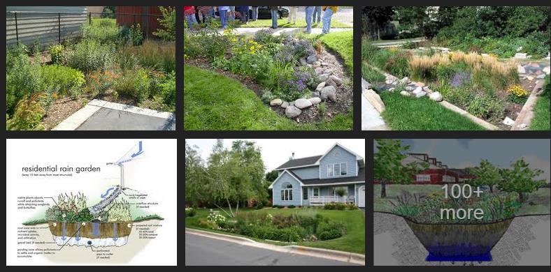 Bio retention basin It is a planted depression that allows rainwater