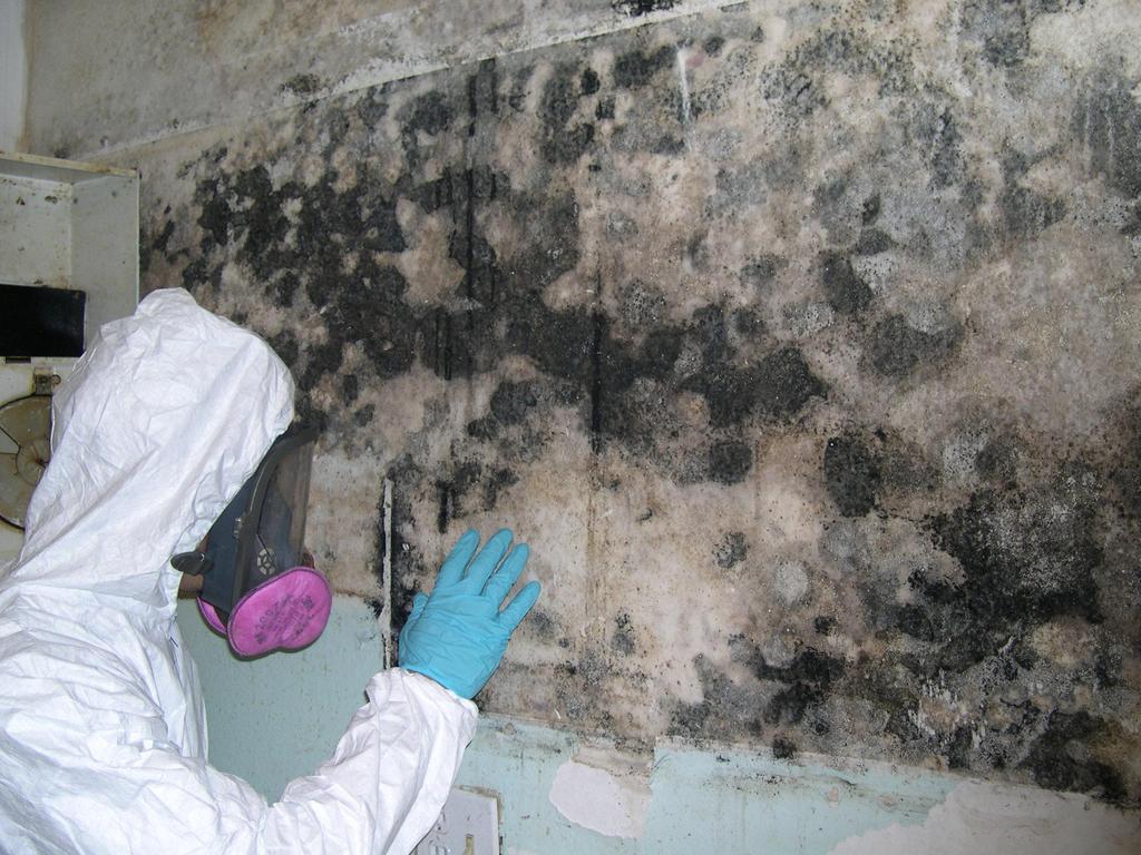 Mold is found both indoors and outdoors. Mold can enter your home through open doorways, windows, vents, and heating and air conditioning systems.