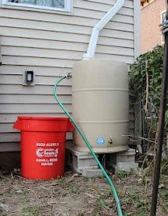 Use of Rain Barrel Water In addition to watering shrubs, trees &