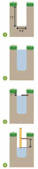 CHECK YOUR SOIL p. 22 Infiltration/Percolation Test 1. Dig a hole in the proposed rain garden site (12 deep, 4-6 wide) 2.