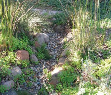 As the runoff flows over vegetation and soil in the landscaped area, the water percolates into the ground and pollutants are filtered out or broken down by the soil and plants.