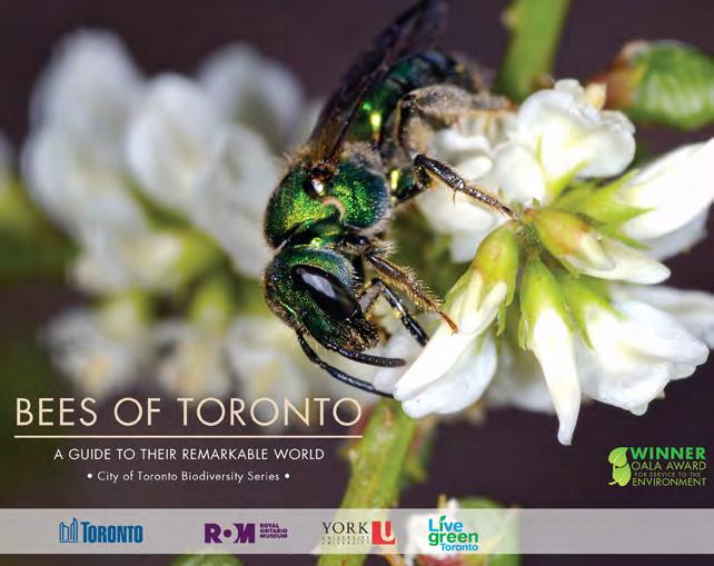 3. PARTNER AND BUILD RELATIONSHIPS It is vital to pollinator protection that the City continues to build relationships, consult, and engage with stakeholders.