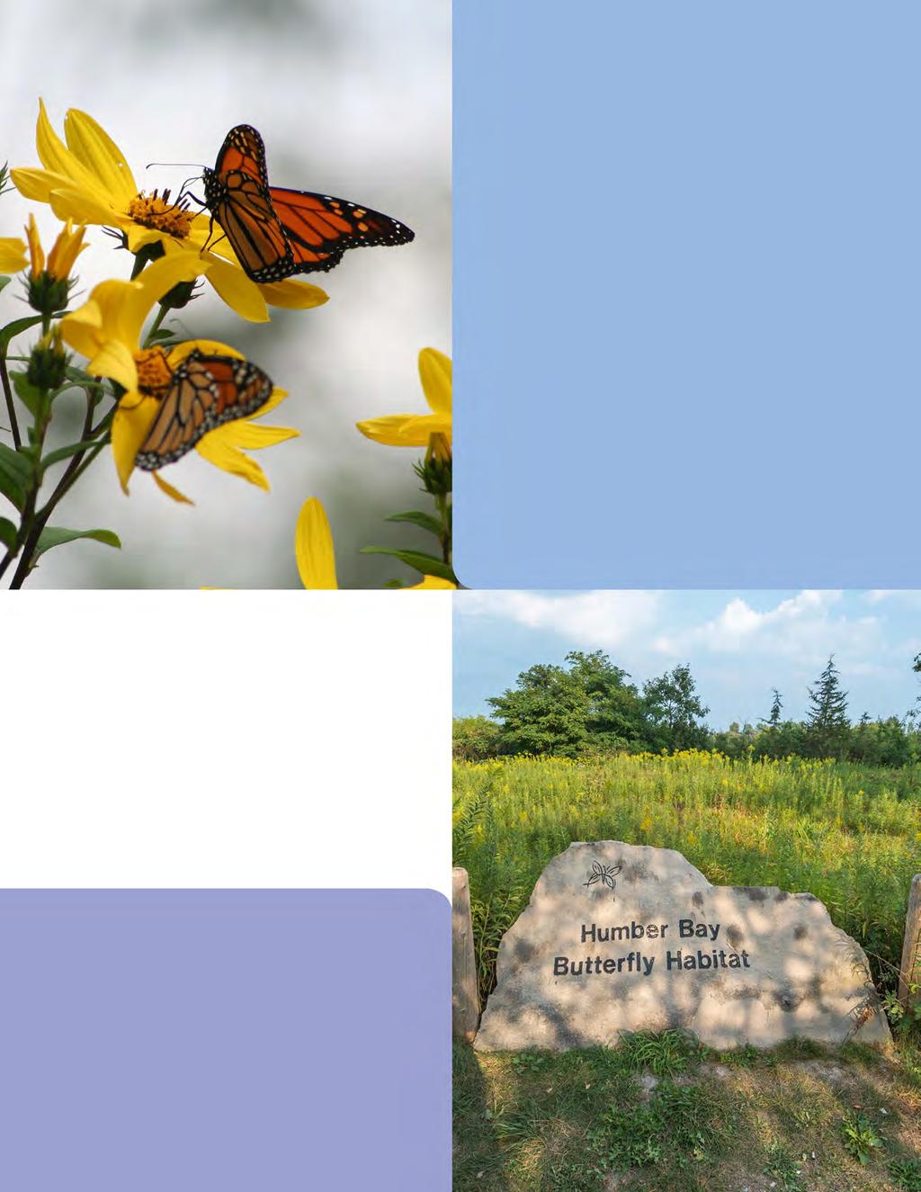 Success story The Humber Bay Butterfly Habitat (HBBH) This City of Toronto led ecological restoration project provides critical habitat for a variety of native butterflies and other pollinators.