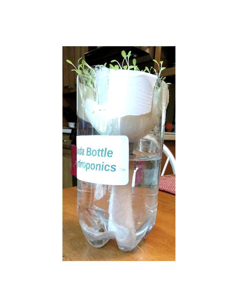 Soda Bottle Hydroponics Growing Plants Without Soil A lesson from the New Jersey Agricultural Society s Learning Through Gardening program OVERVIEW: In this lesson, students will explore how to grow