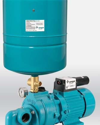 Pump discharge port 3/4 BSP female (pump), 1
