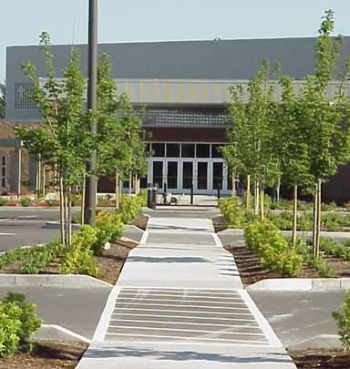 Parking Lot Design Elements Large parking lots should be broken up through the use of landscaping to reduce the amount of paved surface and to create safe and