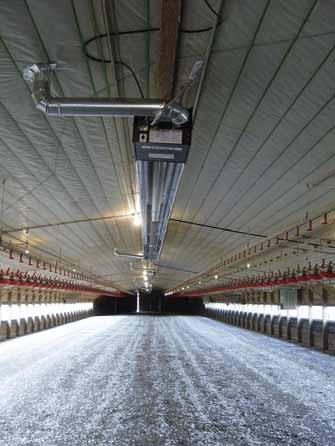 Radiant tube heaters are the latest heating system to come on the market for use in poultry houses.