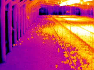 The thermal images in Figures 16 and 17 were taken in a dropped ceiling broiler house with three radiant tubes with the traditional more closed reflector and one with a more open type reflector.