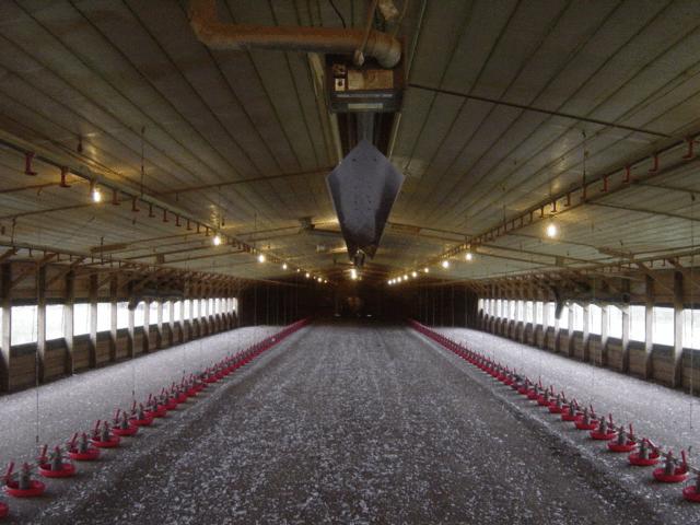 If the tube heater is installed high enough above the feed line, feed temperatures can be kept to a reasonable level.