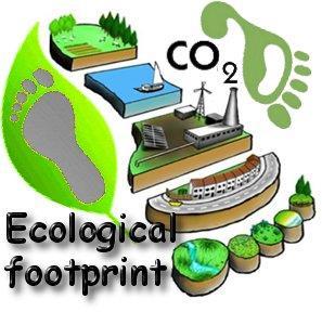 How Big Is Your Ecological Footprint?