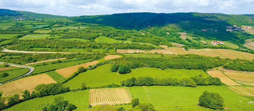 Pan-European Ecological Network: Delivering benefits beyond biodiversity conservation Agriculture Green veining to improve connectivity for nature in agricultural areas can take a number of forms.