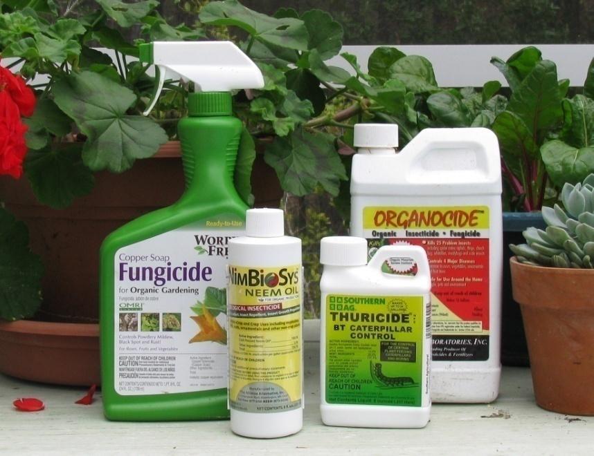 Pest Control Organic pesticides Bacillus thuringiensis