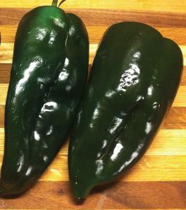Hot Varieties for Spring Planting Poblano/Ancho - HEIRLOOM - Plants grow 30 inches tall and have yellow flowers.