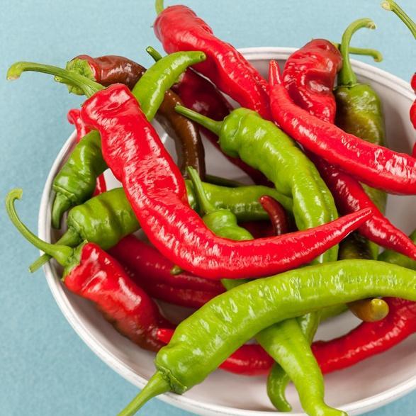 Hot Varieties for Spring Planting Cowhorn cayenne HEIRLOOM - a giant among chilies growing up to ten inches in length and it curves like a cayenne pepper which, with the