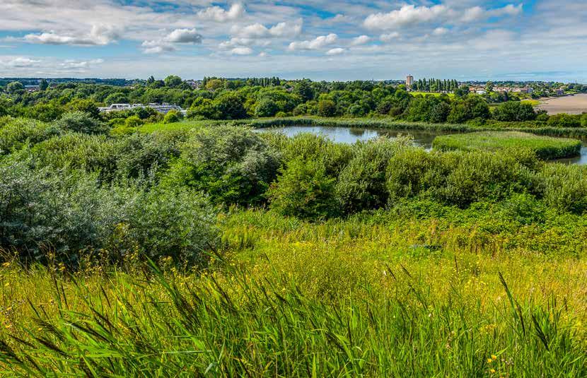 Through our research reported here however, and in earlier reports on the social value and natural capital value of our green spaces, we disprove this view and provide evidence that demonstrates the