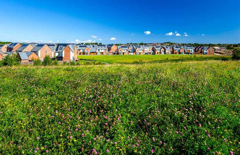 add value to houses Port Sunlight River Park has had a direct positive impact on local property values. The greatest uplift is within 50