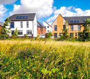 The development, property and planning sectors need to be willing to overcome the barriers to reap the benefits. GREEN SPACES what needs to change?