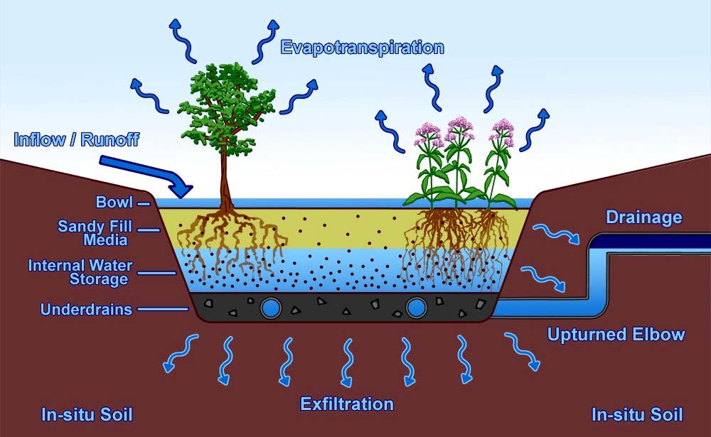 Bioretention