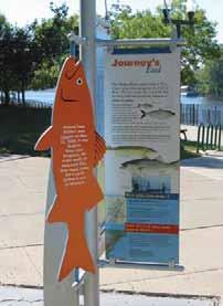 This sign in Troy s Waterfront Park describes the annual striped bass journey from the ocean, up the Hudson Estuary, to the Troy dam.