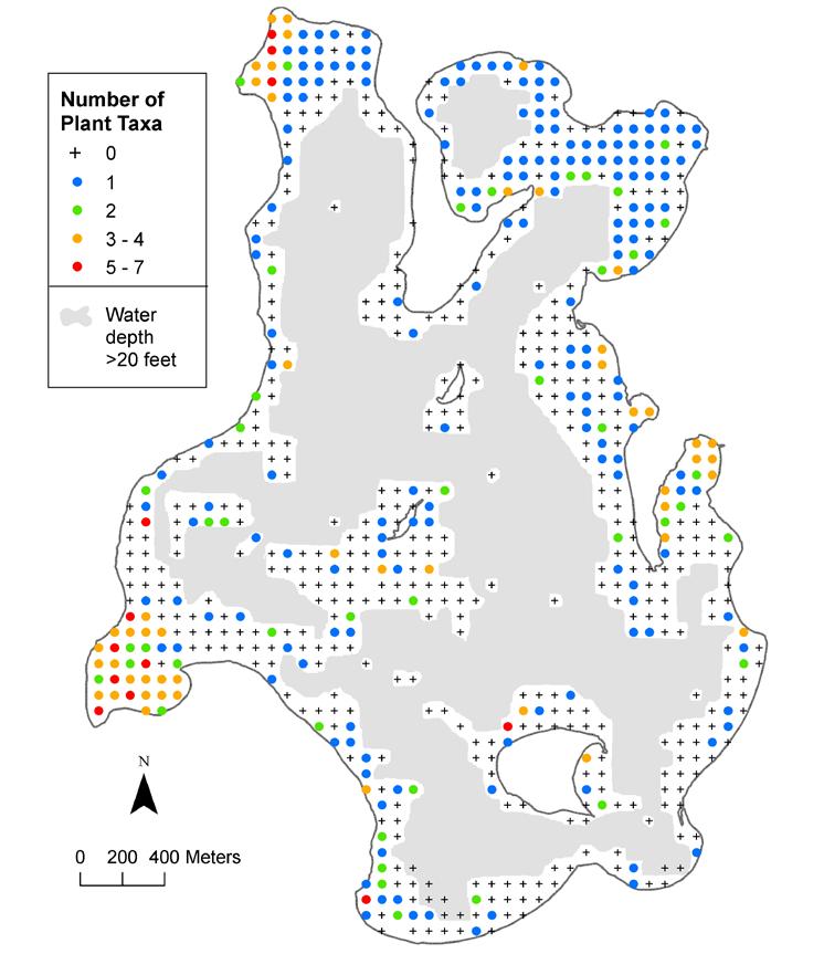 The number of plant taxa found at each one square meter sample site ranged from zero to seven. Shallow areas of protected bays contained the highest number of plant taxa.