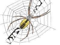 The webs or nests can be very small, but they are very strong and can block the flow of gas.