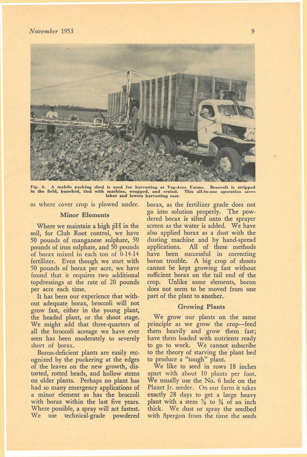 9 November 1953 Fig. 3. A mobile packing shed is used for harvesting at Veg-Acre Farms. Broccoli is stripped in the field, bunched, tied with machine, wrapped, and crated.