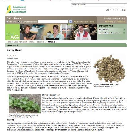 Alternative pulse crops: Faba bean