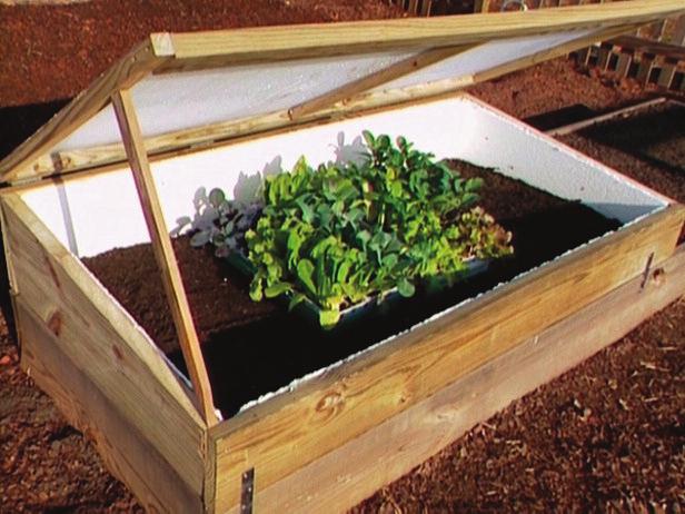 Would you like to extend your growing season in the spring and fall? Among the options you might consider are cold frames, hot beds, and cloches.