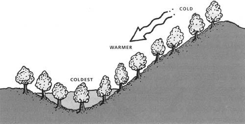 Protect your garden from frost You can employ different ways to reduce the amount of cooling in and around your garden and protect your garden from frost.