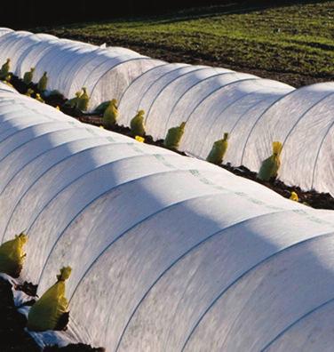 Extending the Garden Season II: Easy and Versatile Low Tunnels Low tunnels allow a choice of the many weights of spunbonded fabric available to cover various seasonal needs.