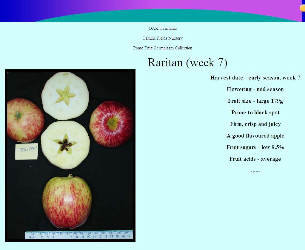 Figure 5. A typical description page of an apple.