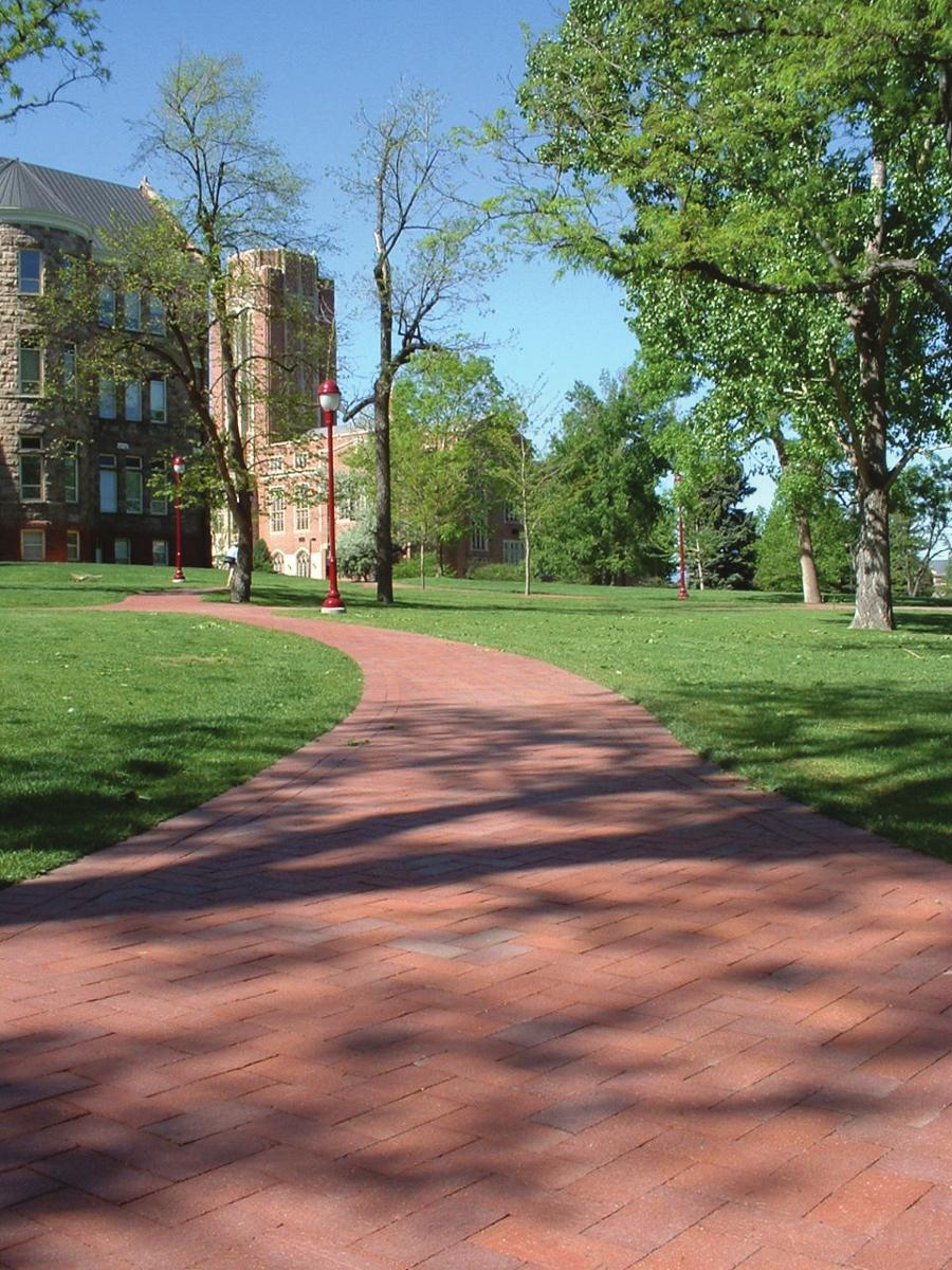 Walkways that are treated as a place are comfortable settings for walking, for sitting, and for conversation.