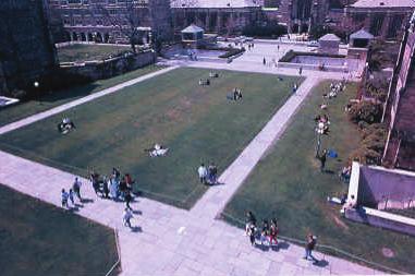 Large Gathering Areas With its vast open lawn, adjacency to the campus center, and central location, the Campus Green is a primary example of a large gathering space at the University of Denver Large