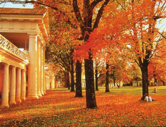 Symbolic Spaces Most memorable college campuses are defined by a significant symbol or icon, whether through architecture, landscape, or exterior spaces.