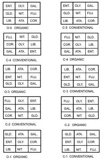 ORGANIC VS. CONVENTIONAL PLOTS Design: Randomized orchard blocks: 2.