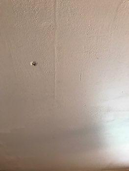 Cracking at the ceiling and or walls does not appear