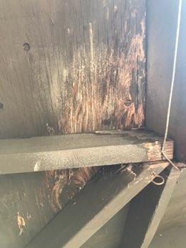 Fascia tails decaying, recommend repair.