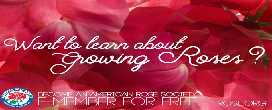 You ll receive: 2 issues of American Rose magazine, $16 value. Complete four months online access to members only resources on the American Rose Society website.