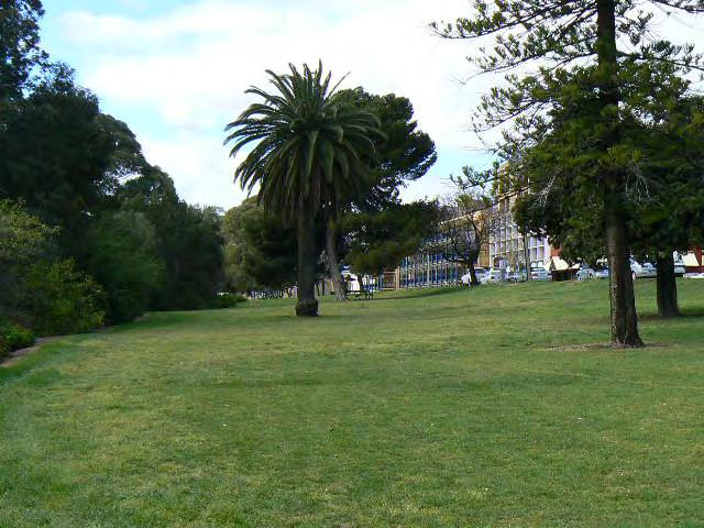 North Terrace Plantation: a garden plantation established alongside North Terrace and the Adelaide Railway Yards in the 1920s with the demise of the Corporation s Cattle and Market Yards in far