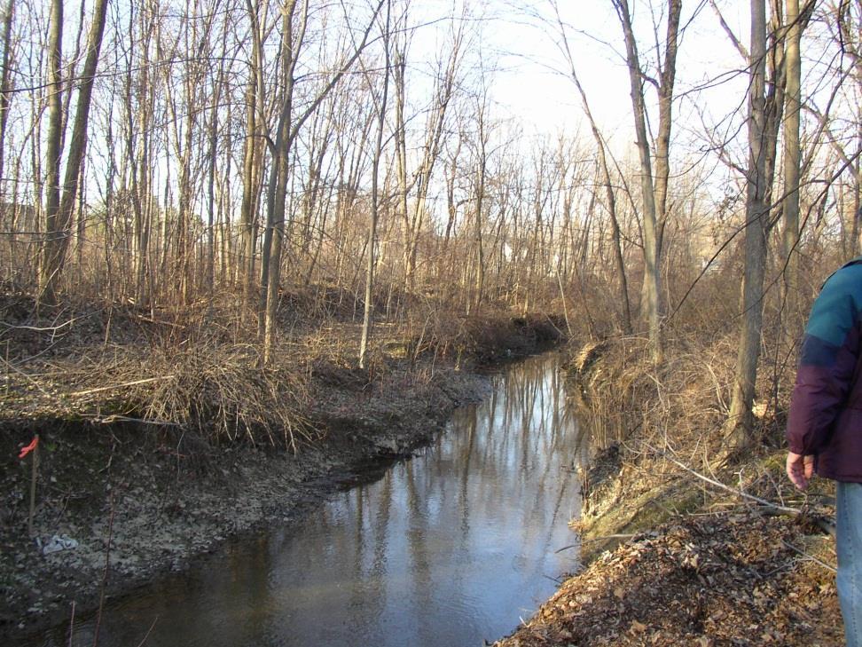 Stream Restoration for Flood Relief and Habitat Enhancement