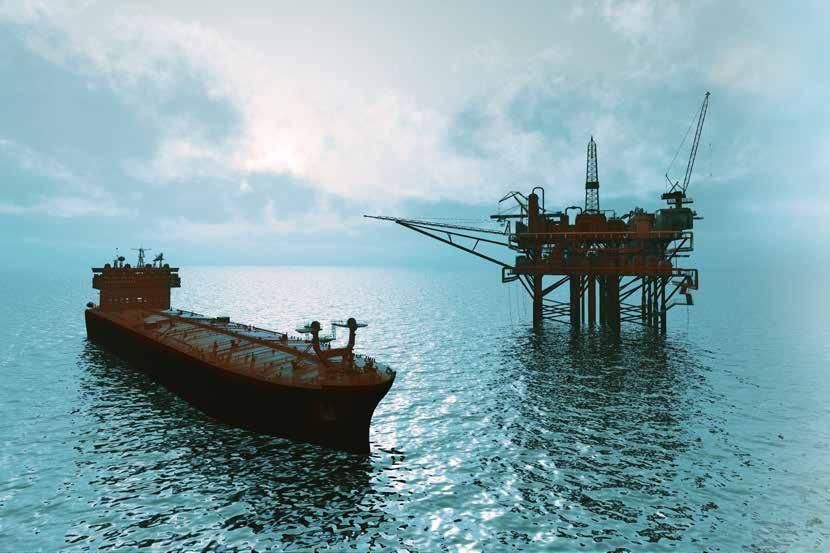 TRELLEBORG SEALING SOLUTIONS Meeting Oil & Gas Operator Needs Providing a high performance sealing solution for nearly all applications, our materials and products can be utilized on anything from