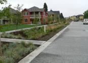 2. Learn skills necessary for basic site assessment and locating bioretention areas in residential